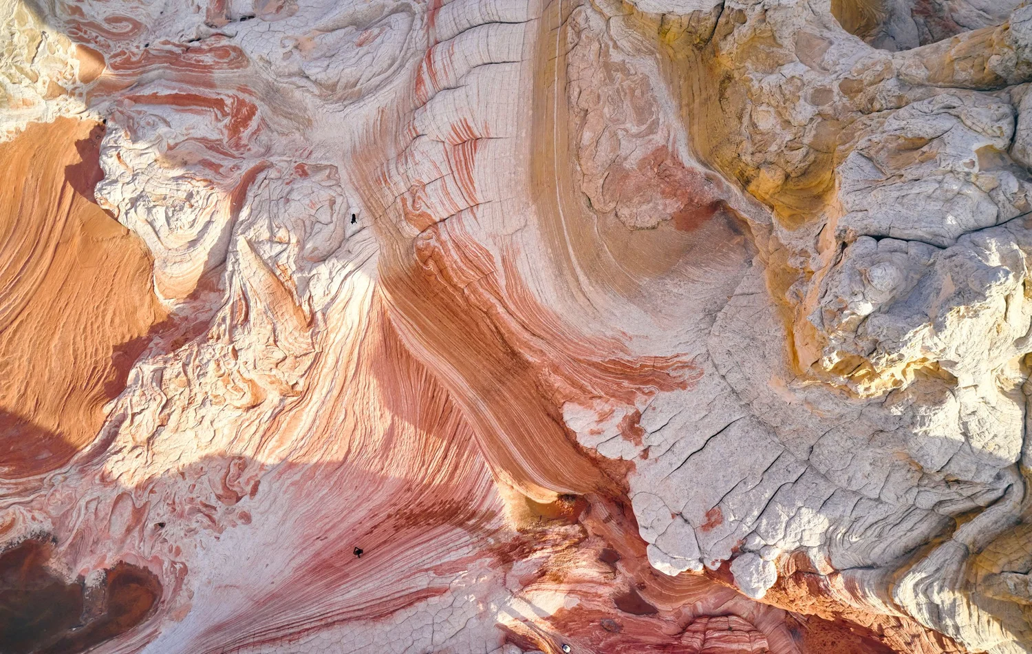 Sunlit, water-carved rock — warm, layered, organic textures.